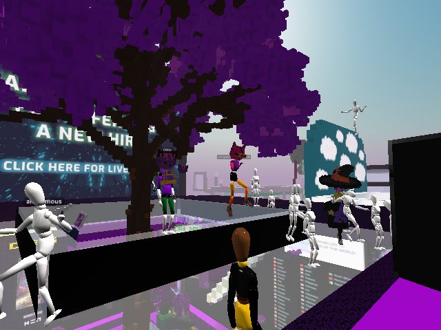 Purple Valley Collectible launch - Voxelkitties represent!