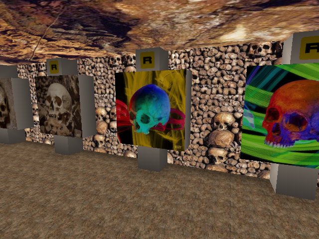 Skull and Bones....lots of Bones...