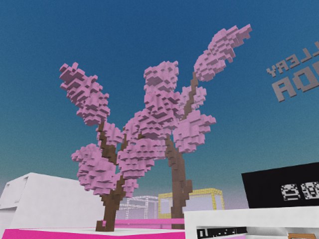 Trees have bloomed!