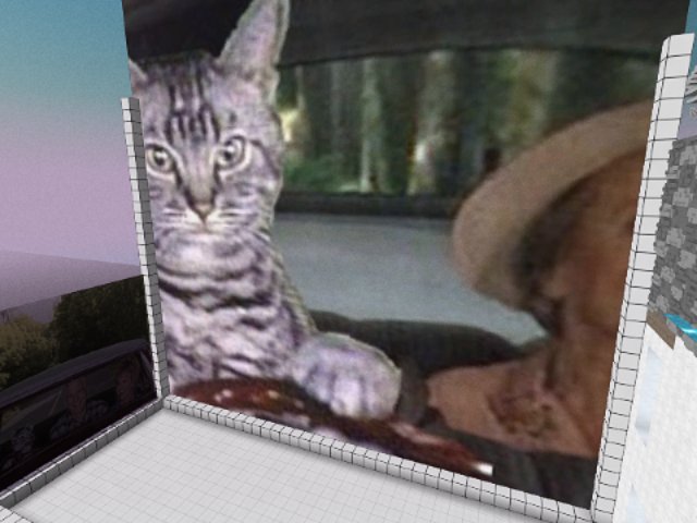 Eyes On The Road, Kitty
