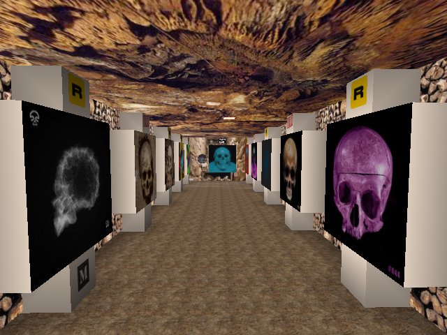 There is a secret Cave with SkullsOnETH....