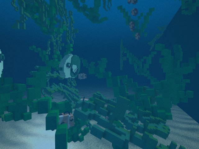 Cleaner waters attract fish and seaweeds!