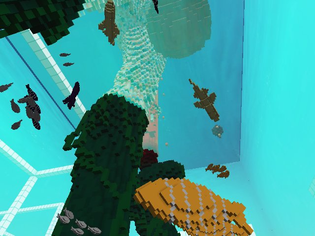 the fish swim now