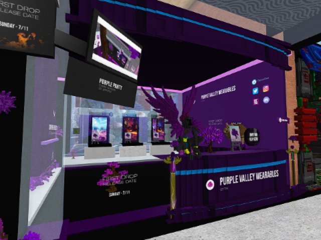 Purple Valley Wearables Store
