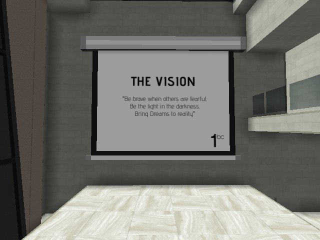 the vision