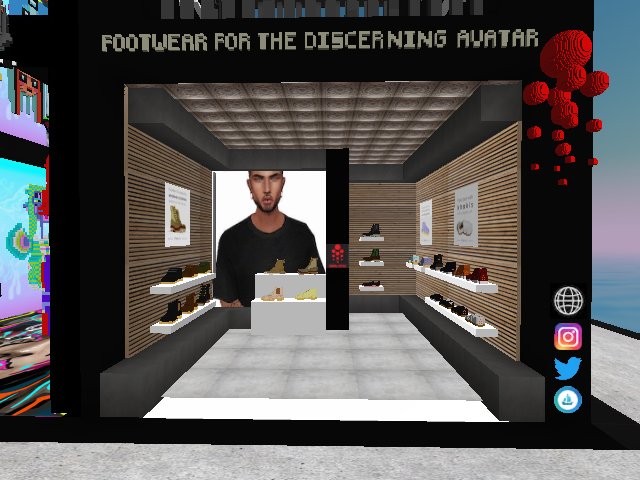 Footwear for the discerning Avatar