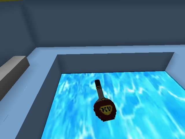 What's that in the pool?