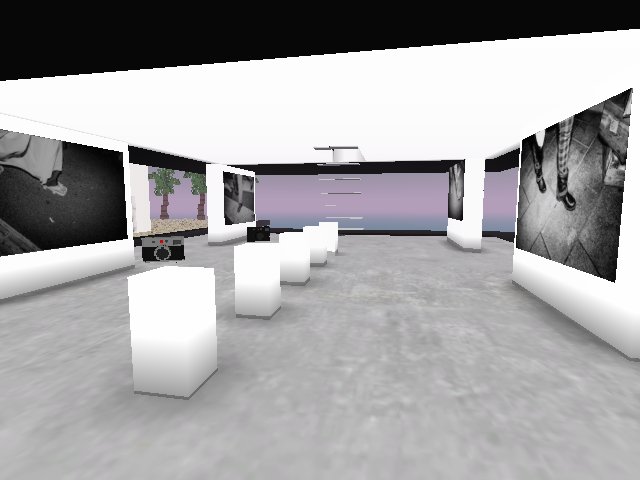 New TOKYO WALKS exhibition on display now at The Crowd.