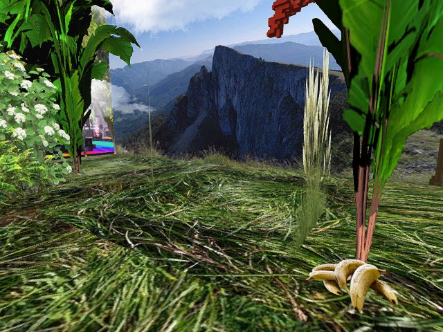 bananas of the Alps