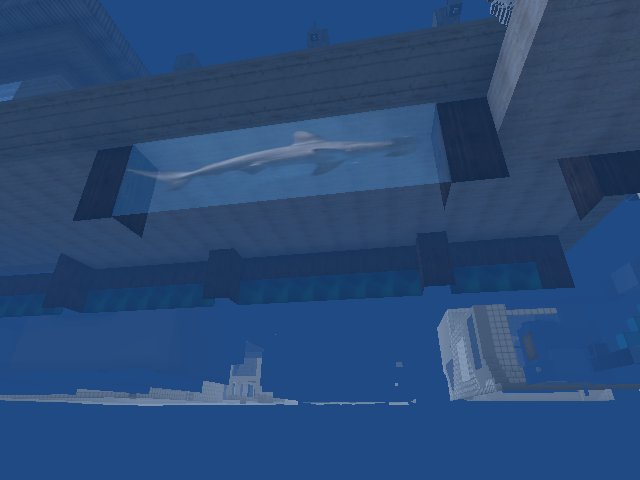 underground sharks