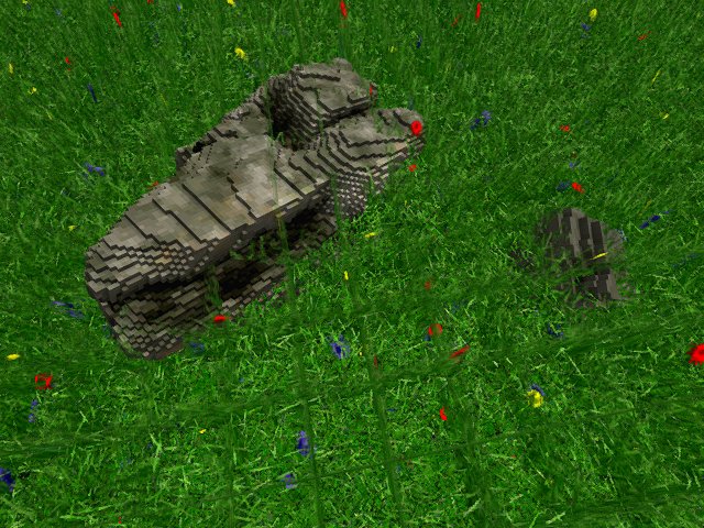 beautiful grass!