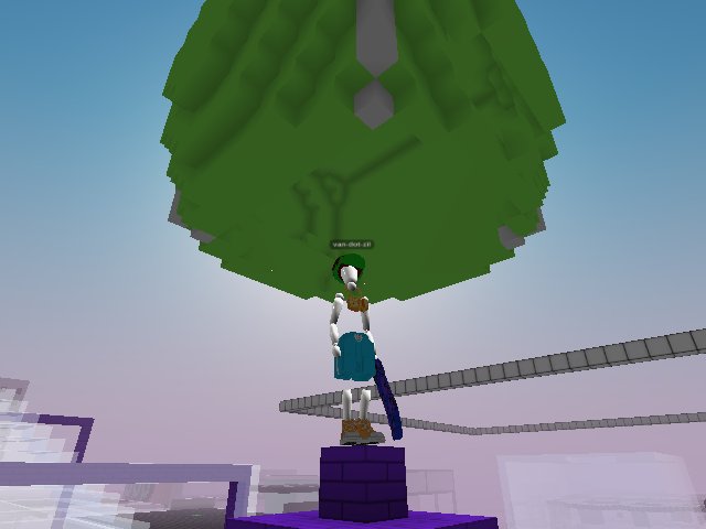 wen surfing
