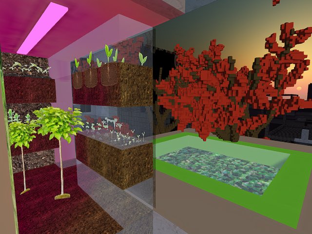 sunset view from the Venus Skins' Greenhouse