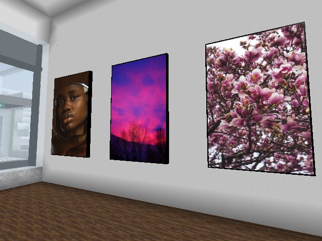 PHYSICAL + DIGITAL EXHIBITION GUIDED TOUR at 1pm CT and 7pm CT
