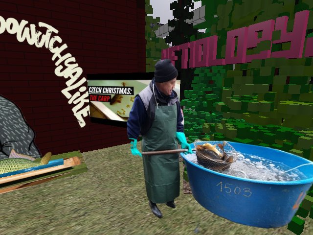 FIND OUT ABOUT CHRISTMAS FISH IN BATHTUB