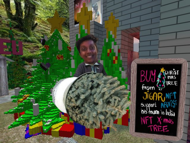 BUY CHRISTMAS TREE