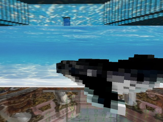 catch the whale!!!