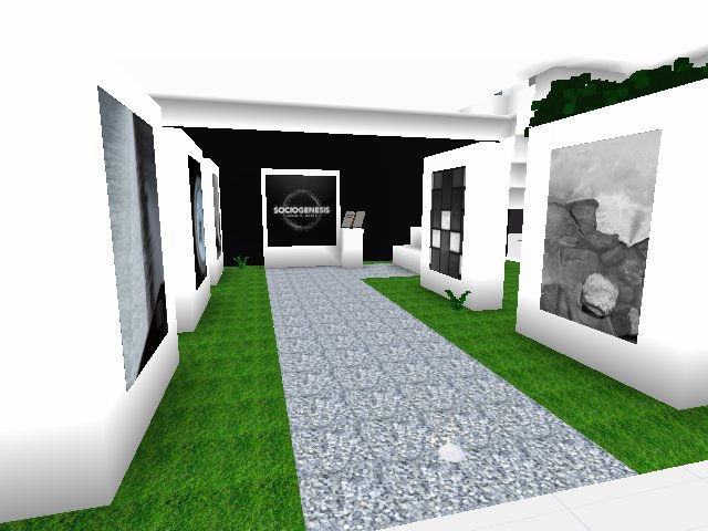 Finishing up the Sociogenesis Gallery