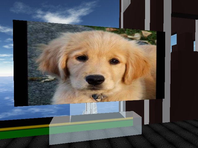 Such a cute lil doggy! :D