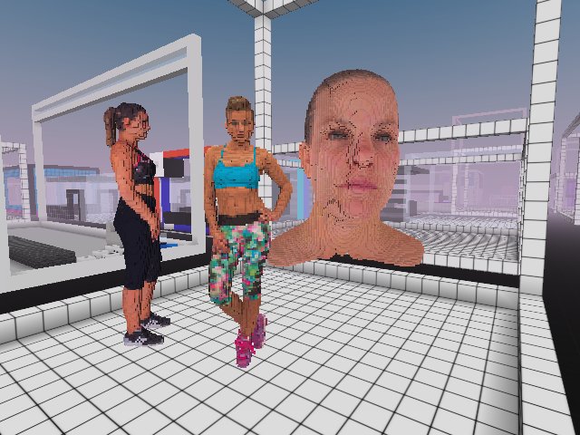 Real-life models, scanned and voxelised