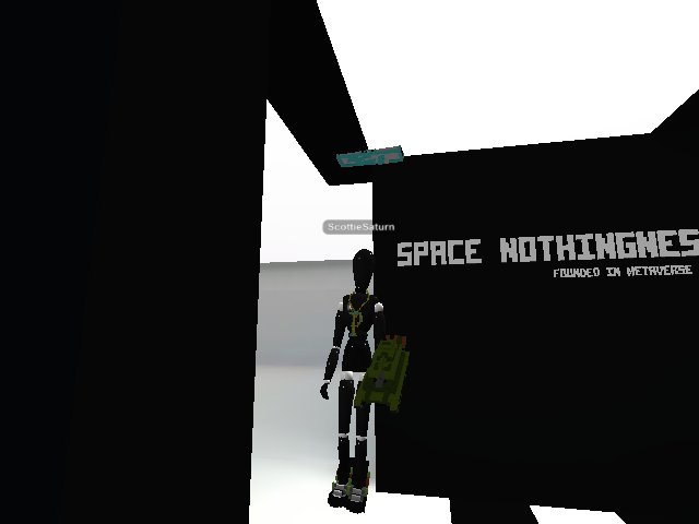 in the metaverse