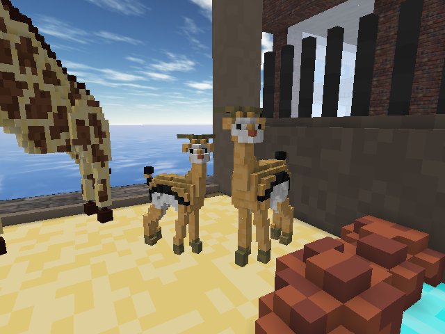 New animals at the zoo!