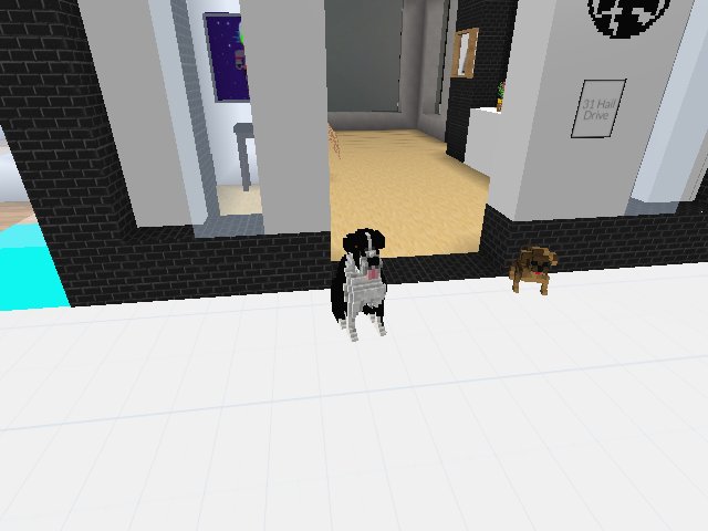Cutepets.