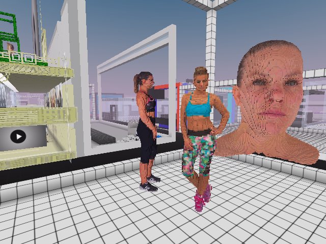 Realistic voxelised girls