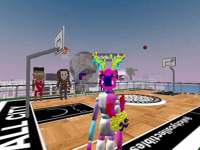 roof is basket ball bro sister