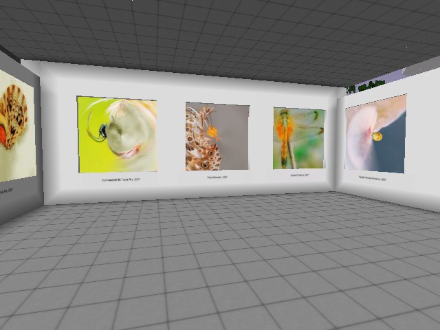2nd Floor Gallery at the Home Good Store
Collection :: Wings