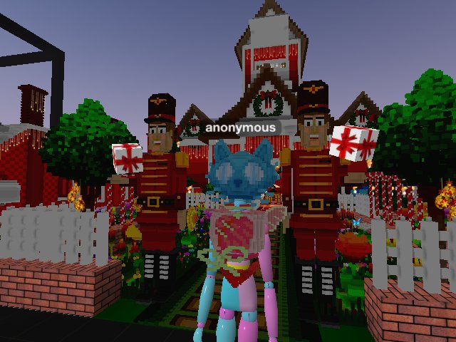 Xmas house !!