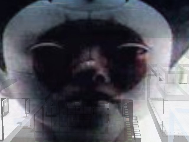 pressing z over this gif consistently crashes