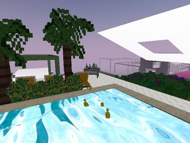 the ducks love it here!!