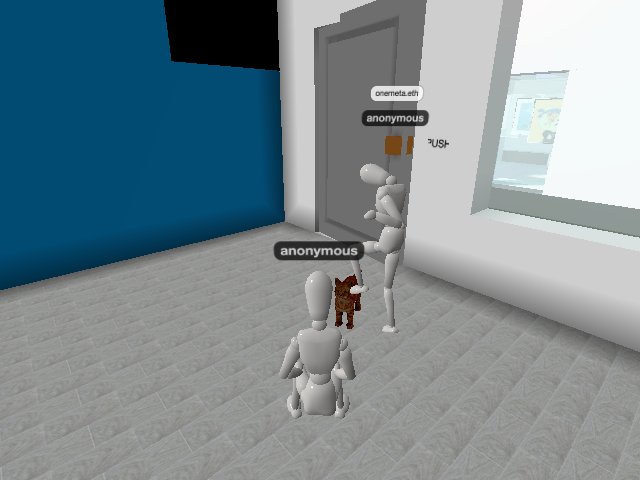 found one cat