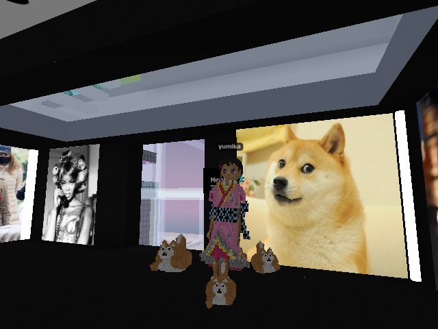 I love SHIBA