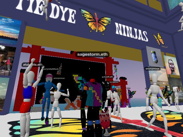 Partying with the Tie Dye Ninjas