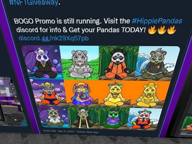 We're literally giving away Pandas! BOGO Promo on NOW! at Hippie Pandas HQ