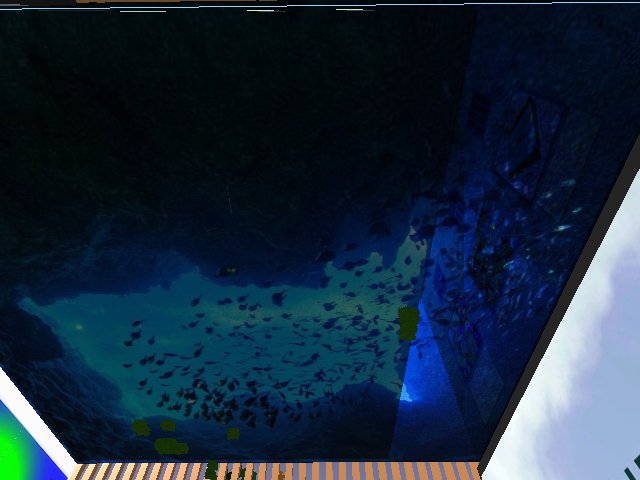 海だー