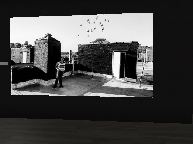 FRAME11 Gallery!