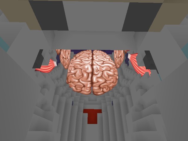 found a brain!