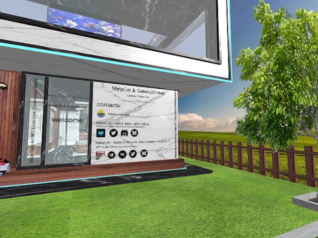 MetaCat &Gallery20 Welcome