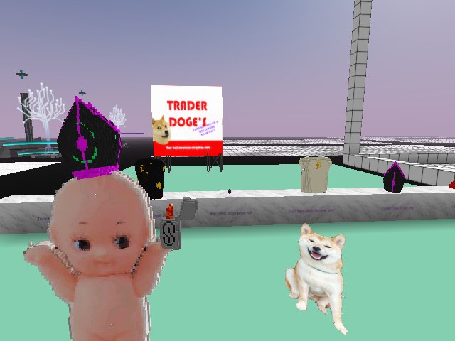 doge swap meet