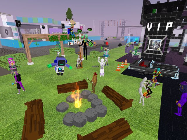 Roasting marshmallows !
