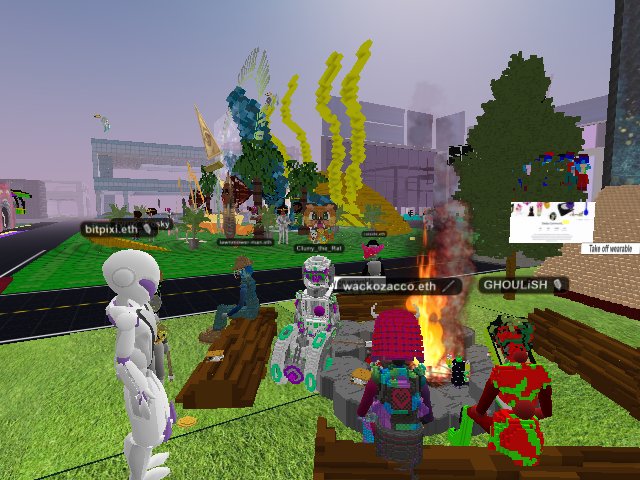 Roasting a marshmallow at the VoxCon learner's camp
