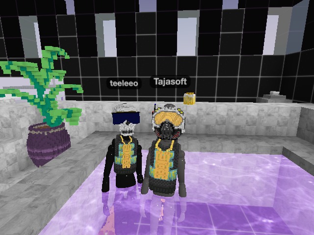 V.I.P