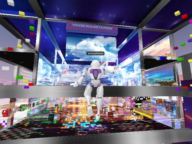 i am in a metaverse