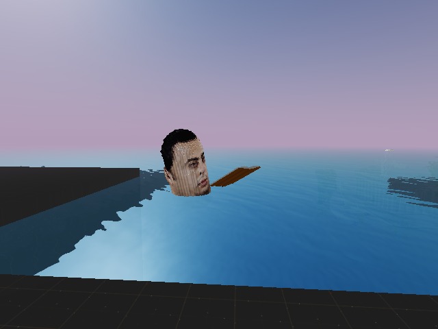 Not drowning, reading!