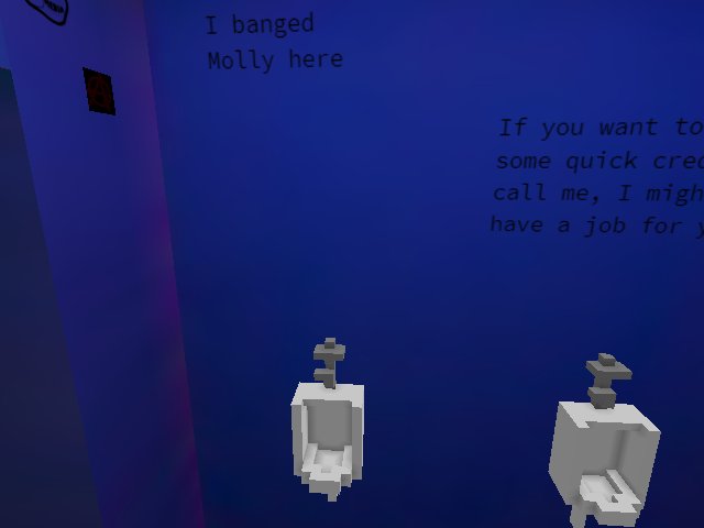 seems people are having a good time in the bathroom at Afterlife