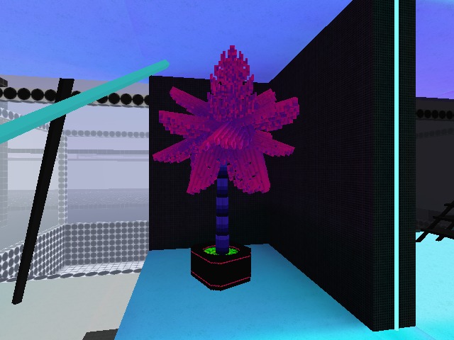 this tree? haha
