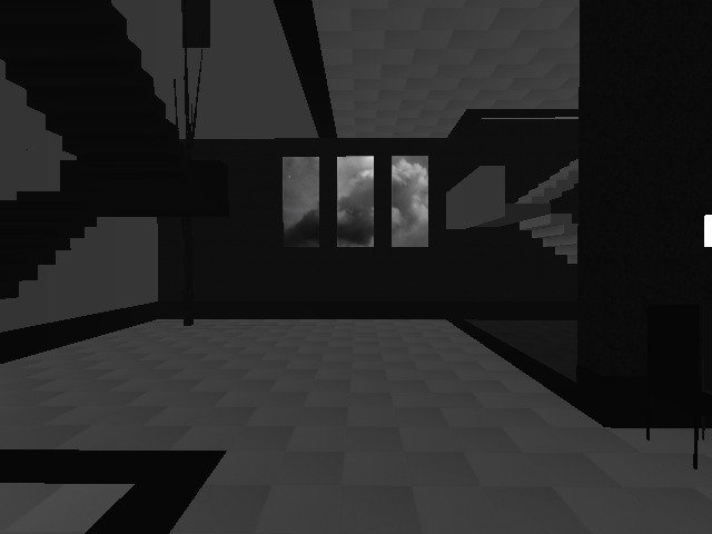 dark and minimal . inside and out . an immersive experience . could use a little more art